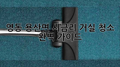 영동 용산면 시금리 거실 청소 완벽 가이드