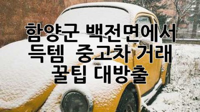 함양군 백전면에서 득템?! ✨ 중고차 거래 꿀팁 대방출!